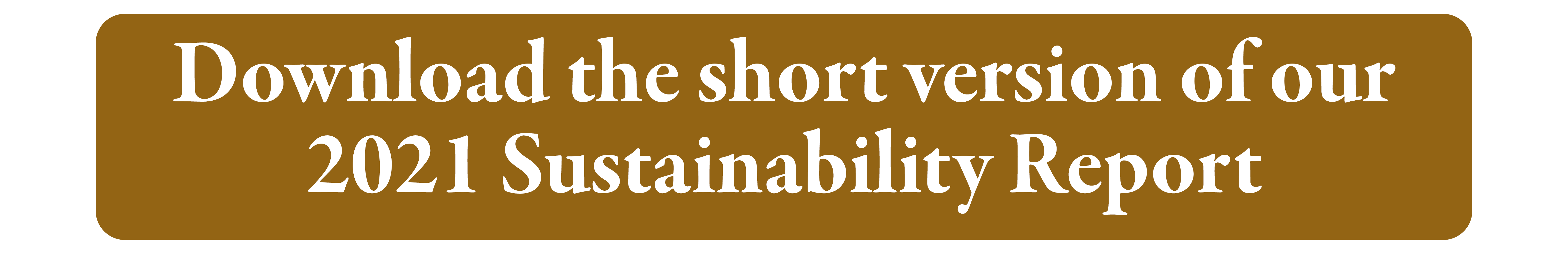 Sustainability Report 2021 - short version